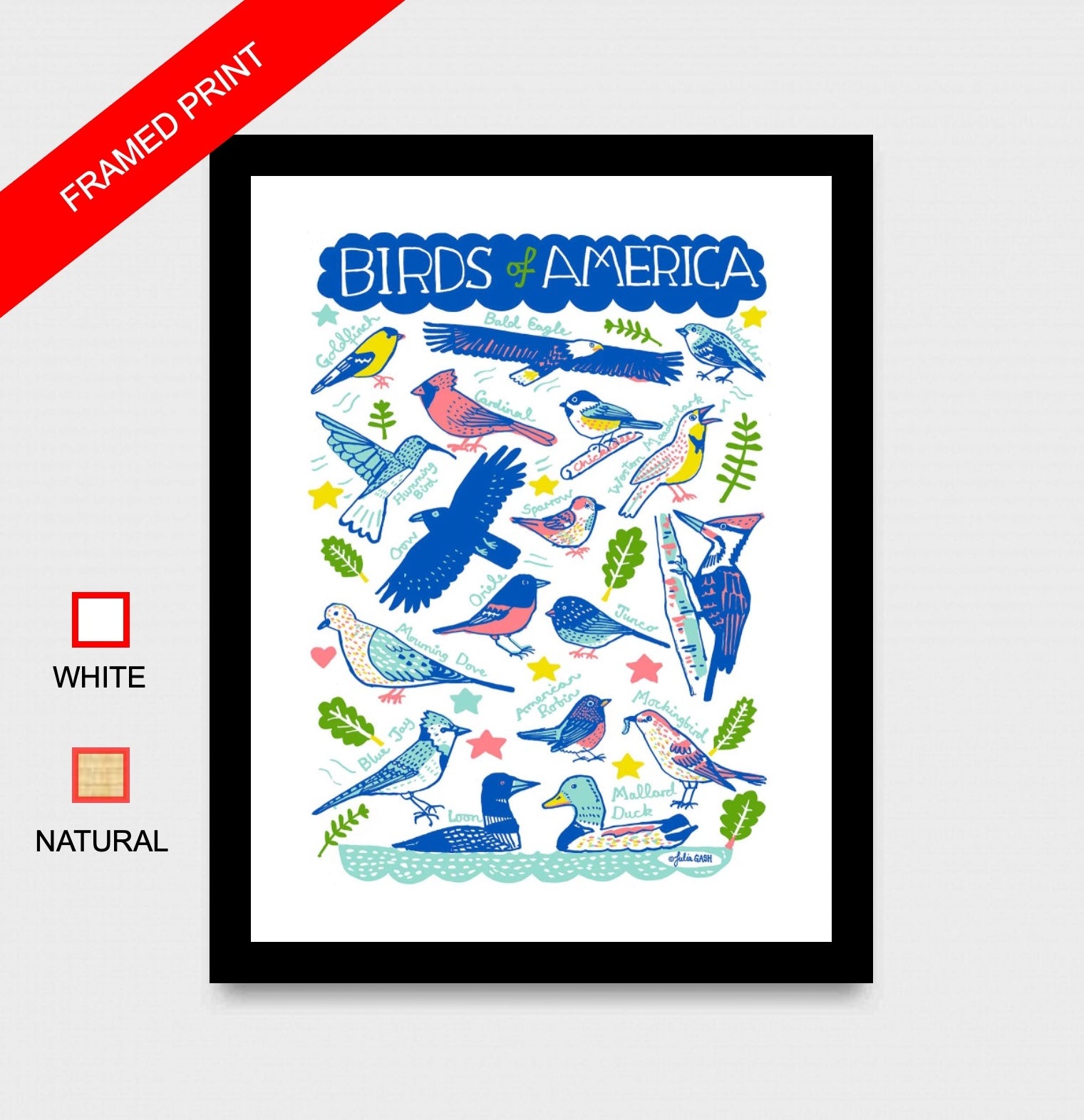 Birds of America Art Print
