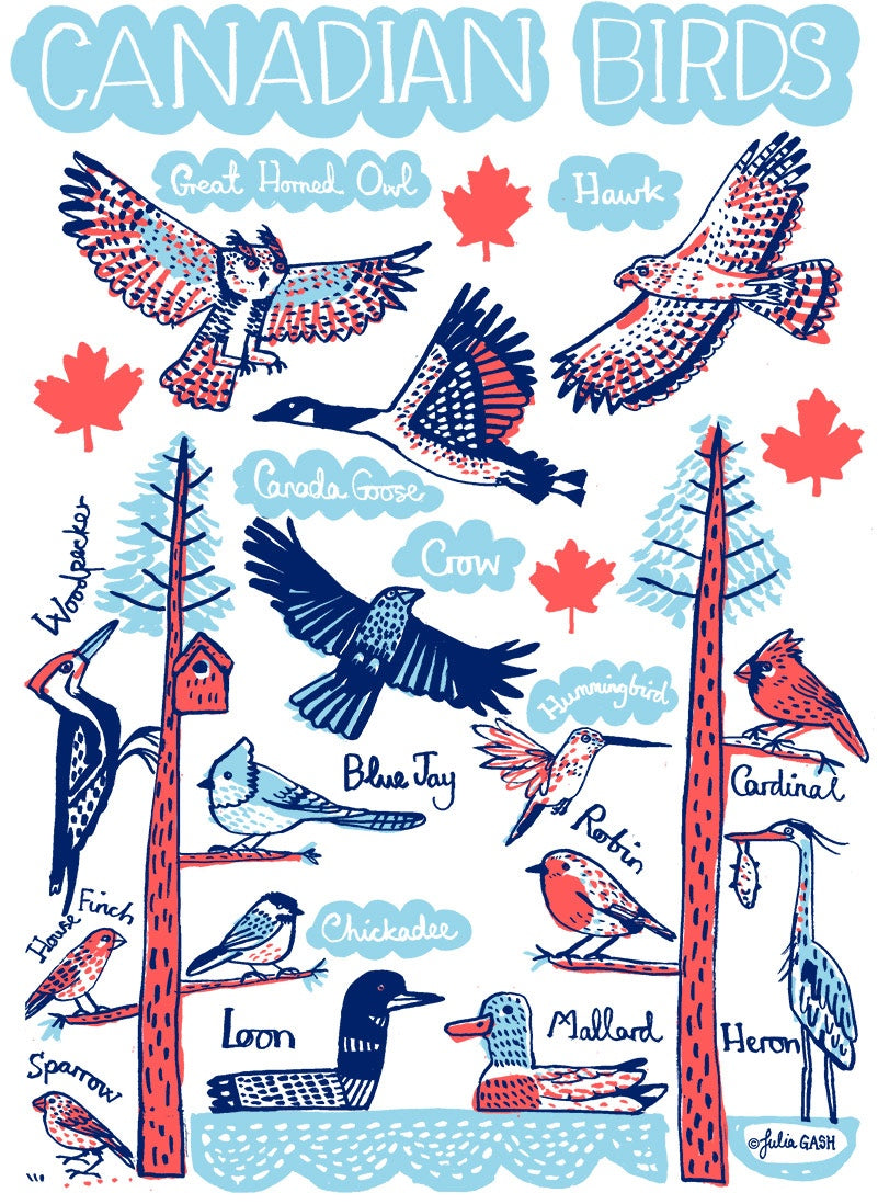 Canadian Birds Greeting Card - Julia Gash