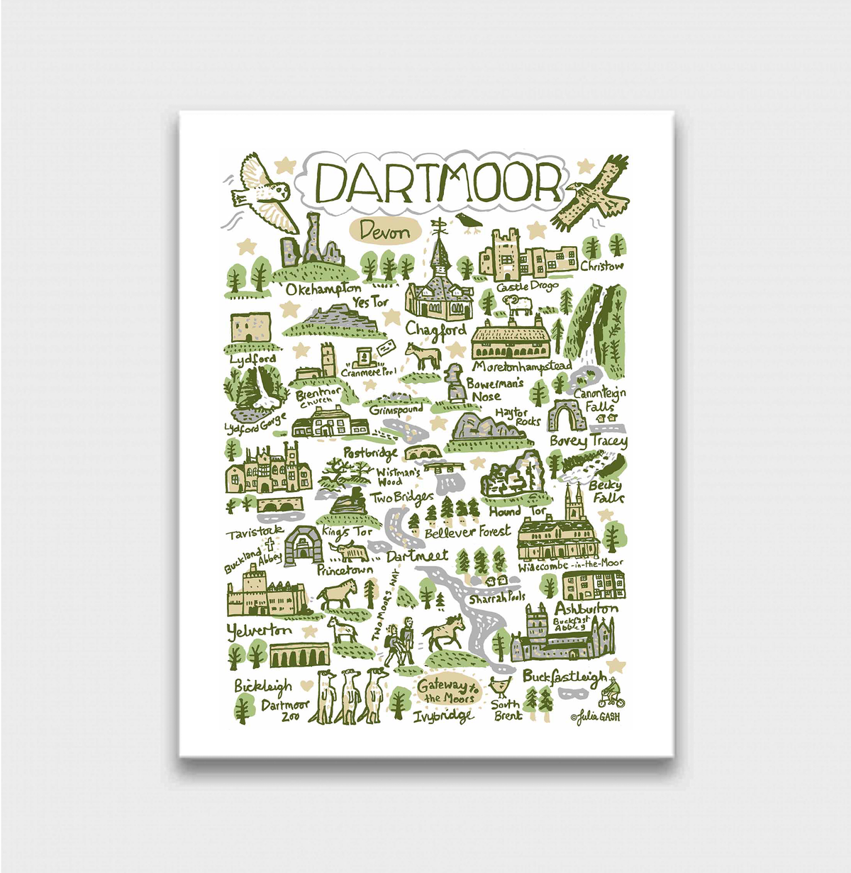 Dartmoor Art Print