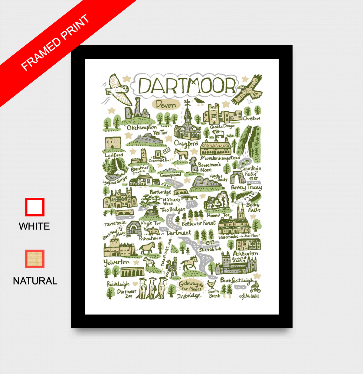 Dartmoor Art Print