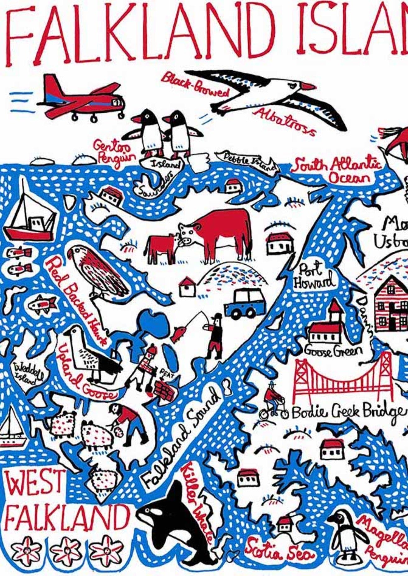 Falkland Islands Postcard - Julia Gash