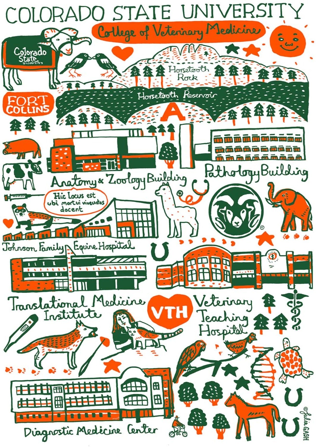 Colorado State University by Julia Gash