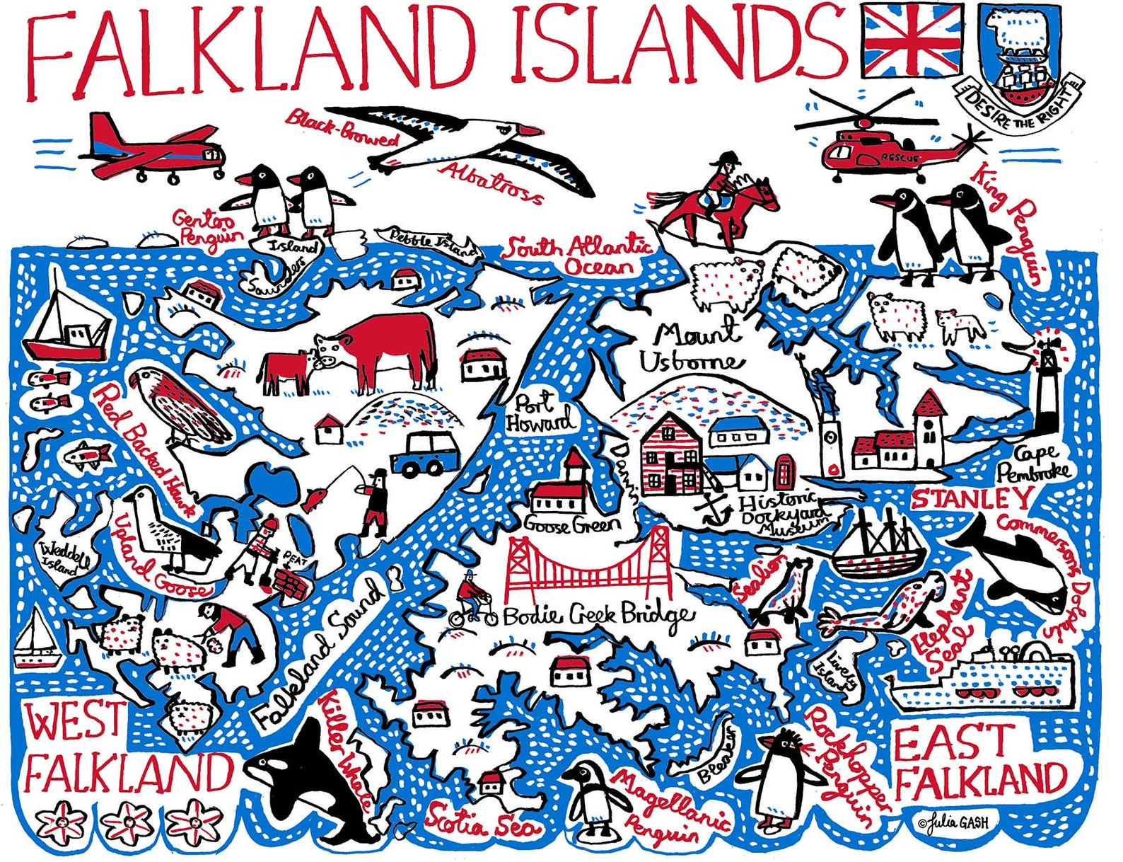 Falkland Islands Postcard - Julia Gash