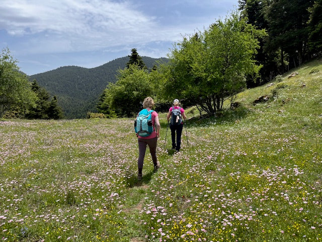 Time Out ... Hiking The Peloponnese Mountains