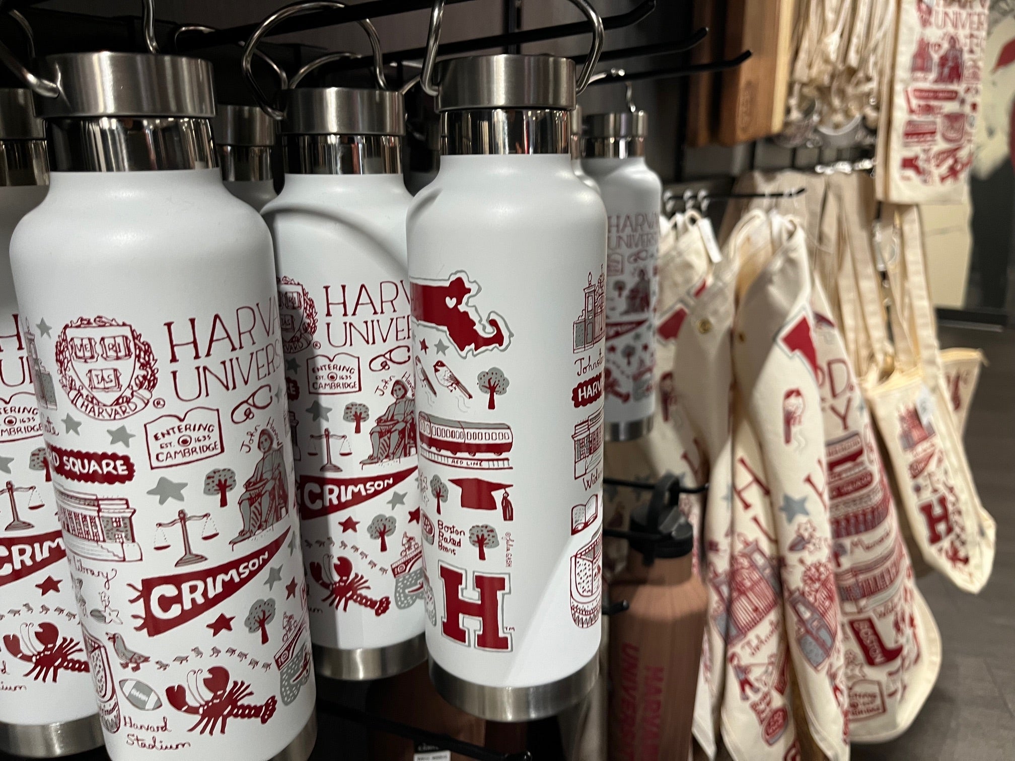 Team Julia Across the World