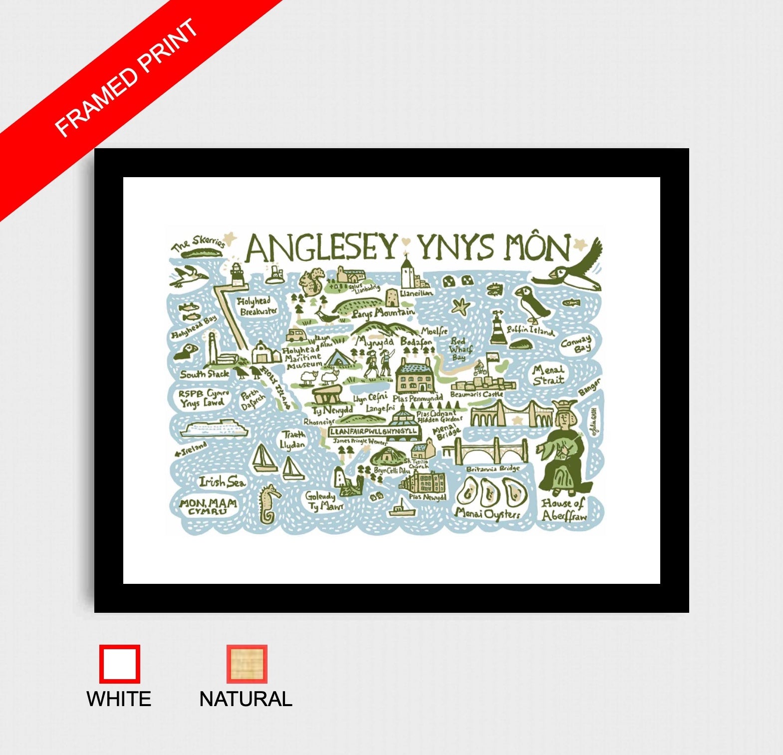 Anglesey Art Print