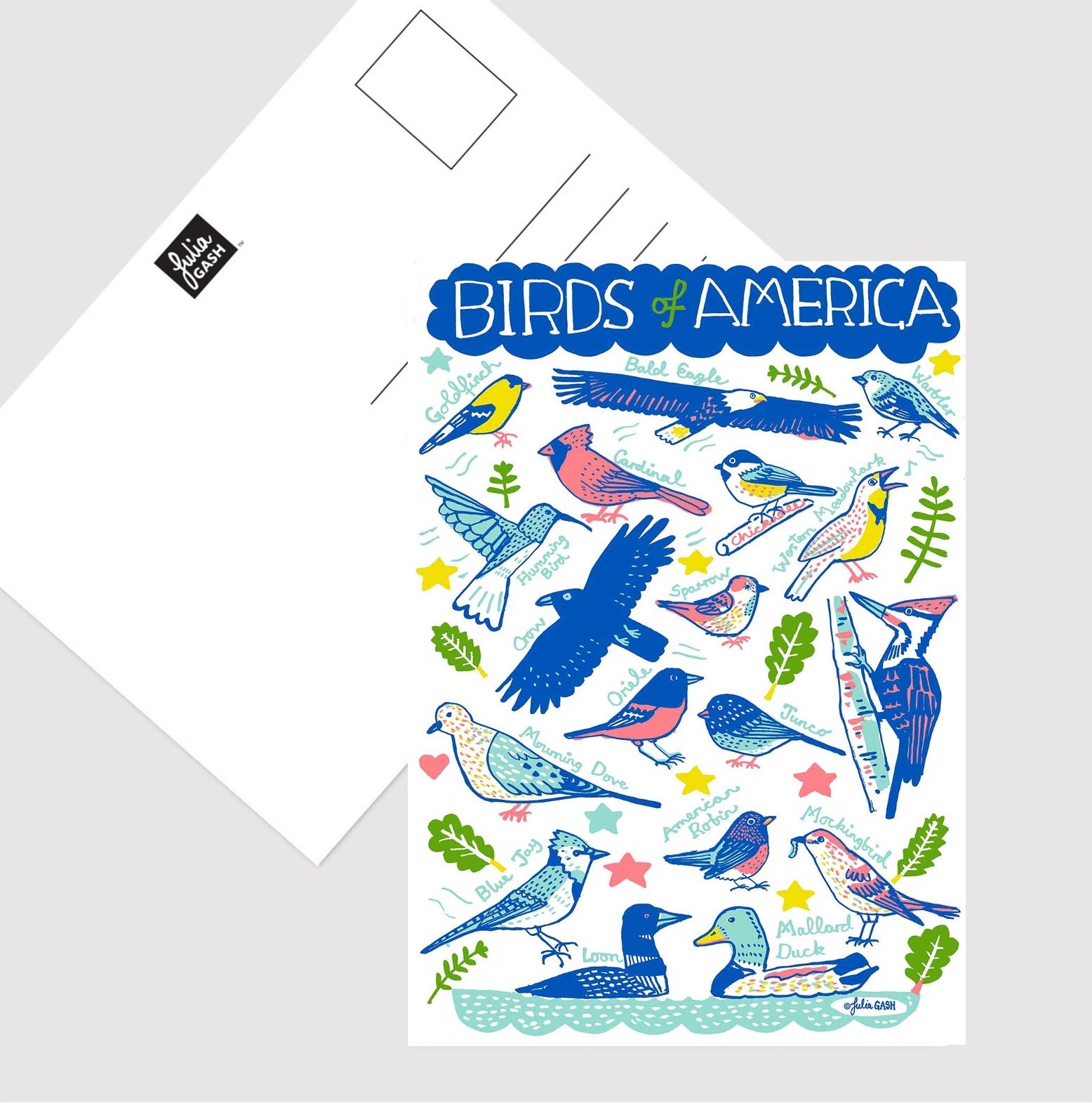 Birds of America Postcard - Julia Gash