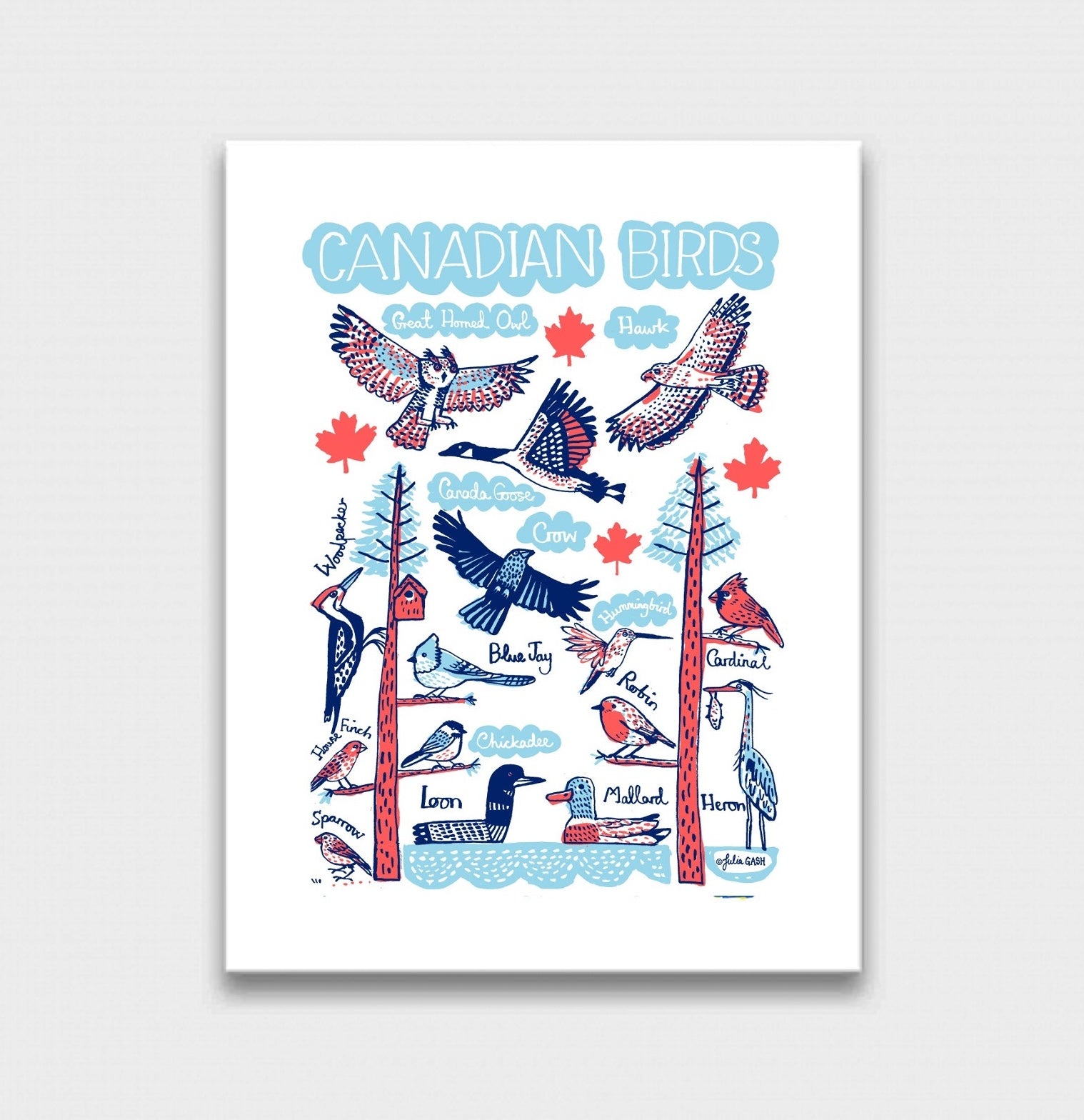 Canadian Birds Art Print