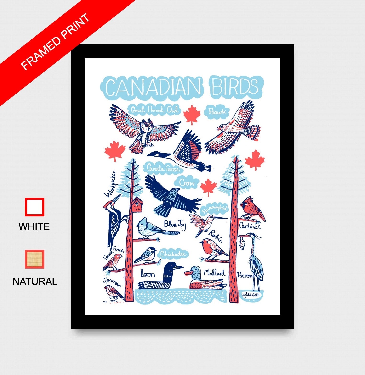 Canadian Birds Art Print