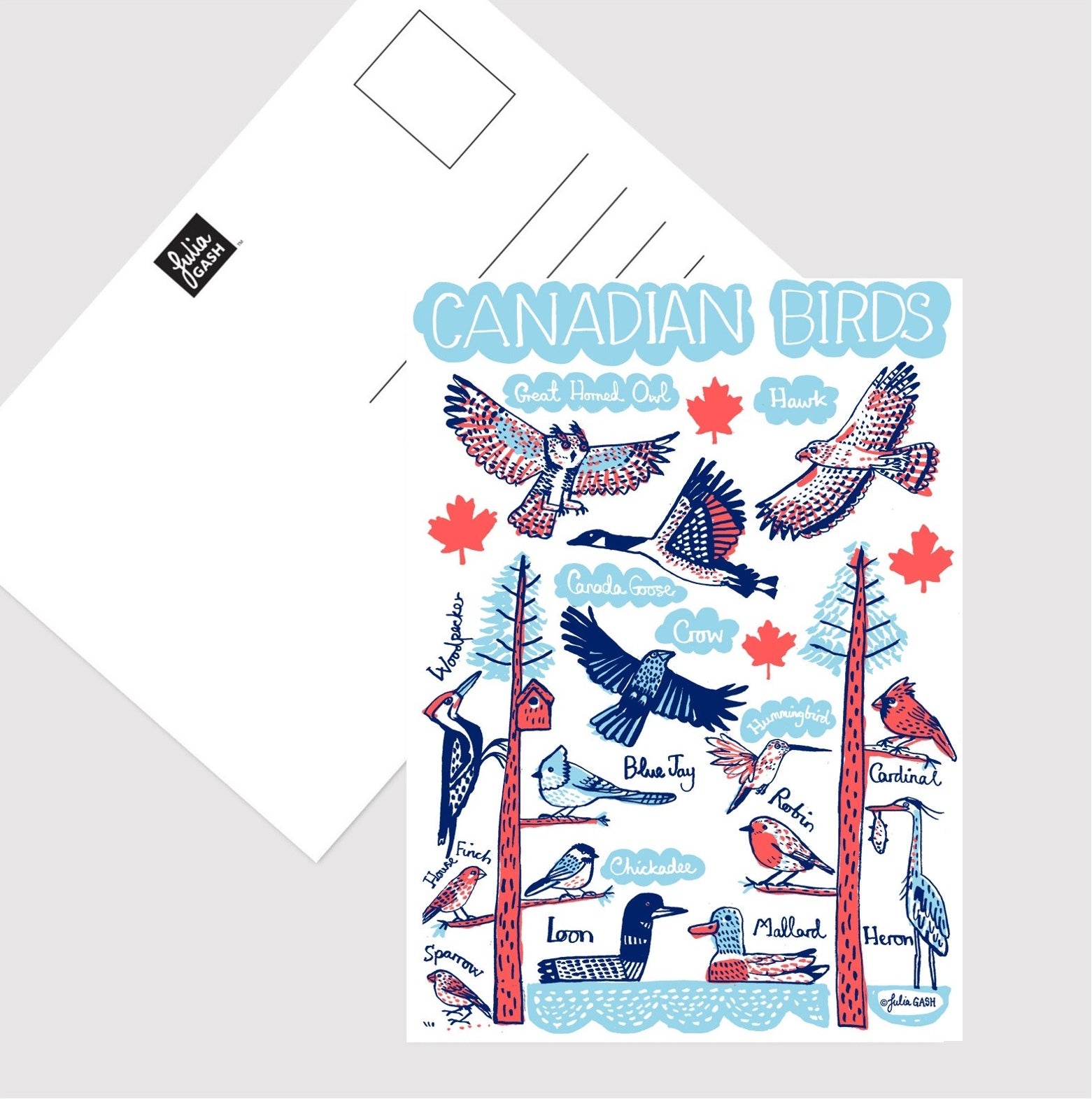 Canadian Birds Postcard - Julia Gash