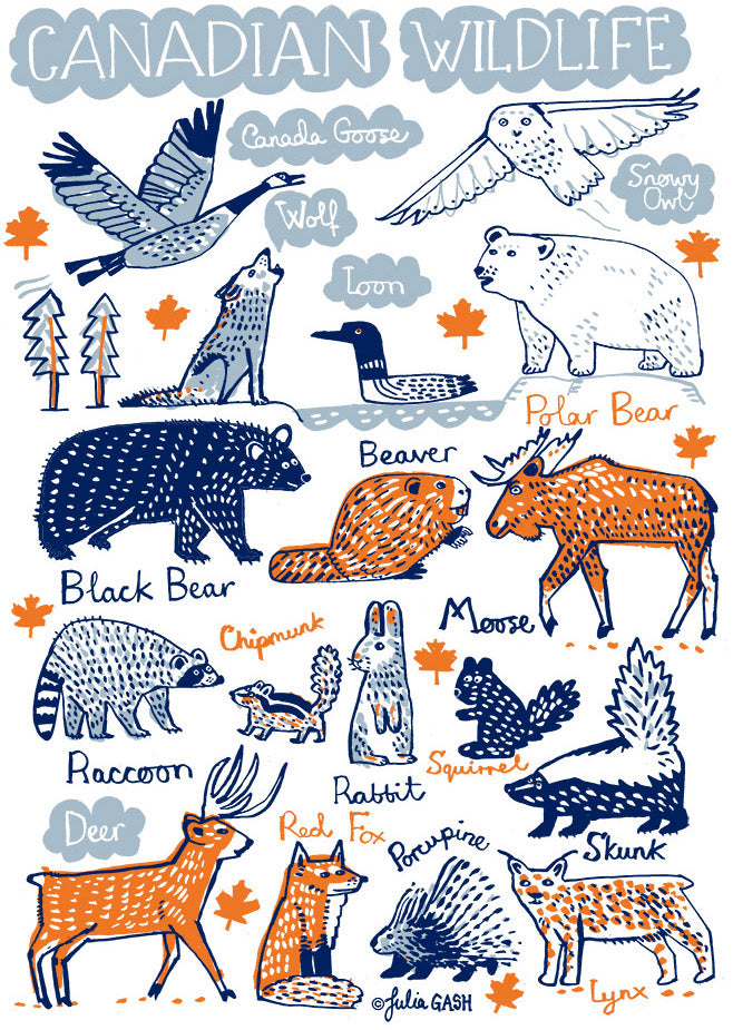 Canadian Wildlife Postcard - Julia Gash