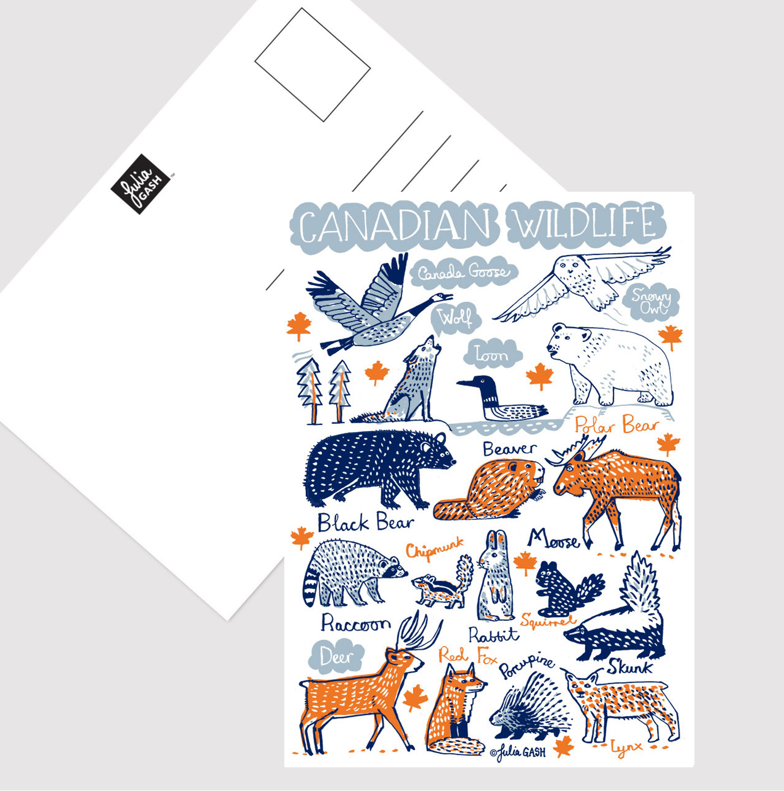 Canadian Wildlife Postcard - Julia Gash