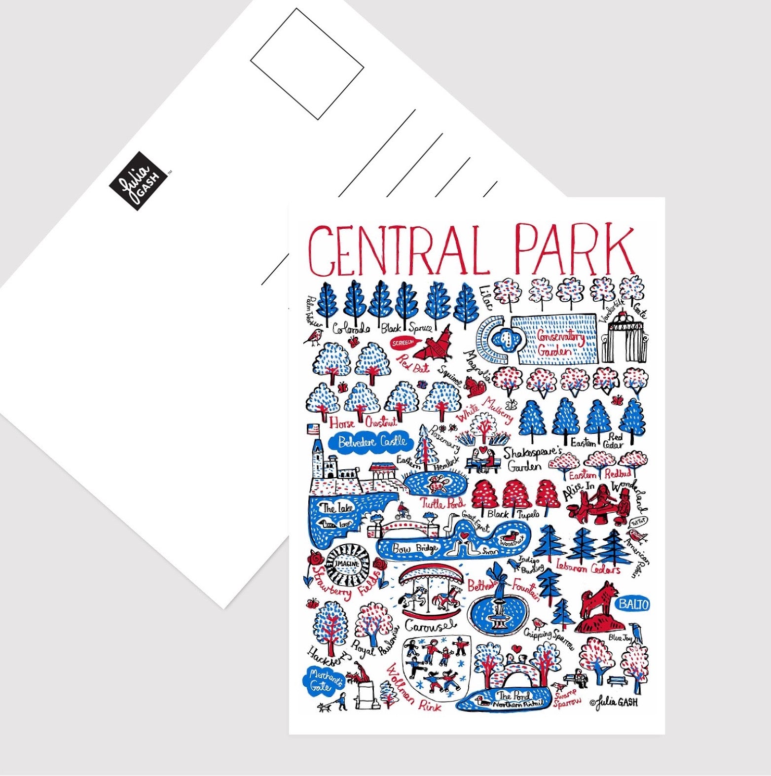 Central Park - Postcard