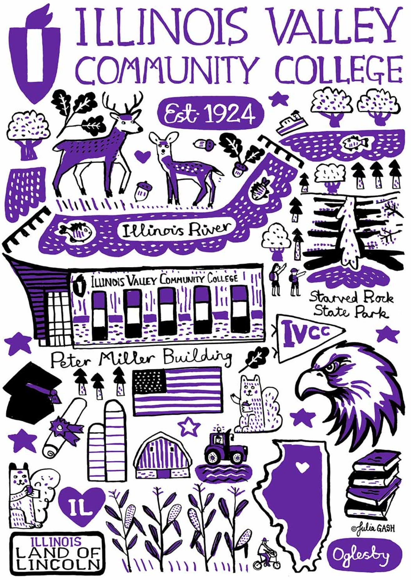 Illinois Valley Logo